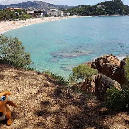 Residential Flat * Lloret de Mar